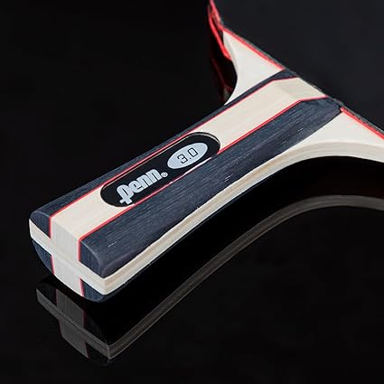5.0 Professional Ping Pong