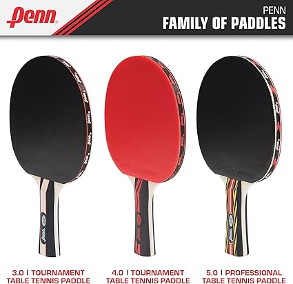 5.0 Professional Ping Pong